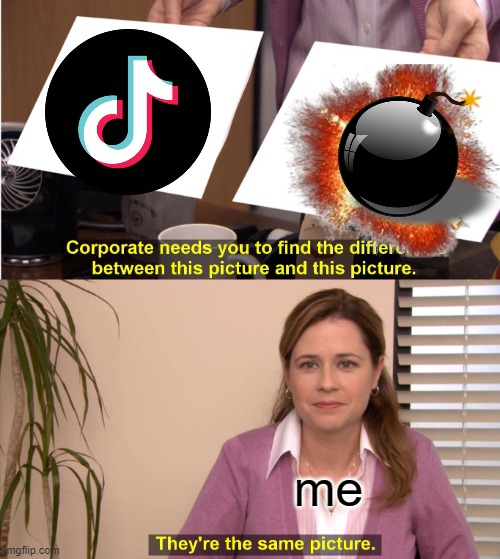 tiktok | me | image tagged in memes,they're the same picture | made w/ Imgflip meme maker