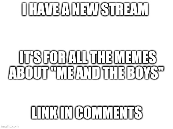 New Stream! | I HAVE A NEW STREAM; IT'S FOR ALL THE MEMES ABOUT "ME AND THE BOYS"; LINK IN COMMENTS | image tagged in blank white template,new stream | made w/ Imgflip meme maker