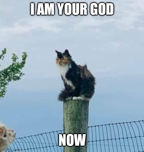 I AM YOUR GOD NOW | made w/ Imgflip meme maker