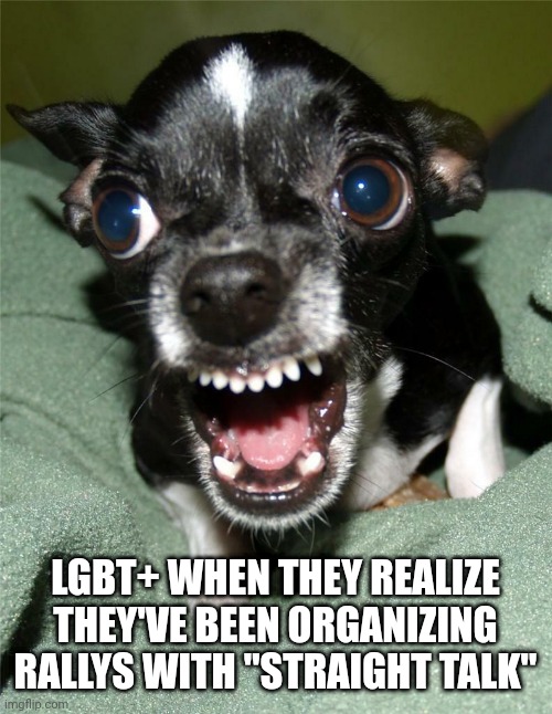 LGBT+ WHEN THEY REALIZE THEY'VE BEEN ORGANIZING RALLYS WITH "STRAIGHT TALK" | image tagged in funny memes | made w/ Imgflip meme maker