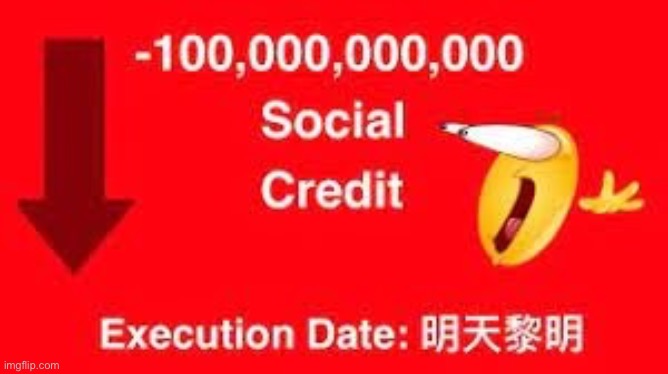 -100,000,000,000 social credit | image tagged in -100 000 000 000 social credit | made w/ Imgflip meme maker