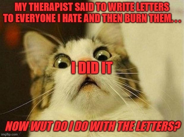 Scared Cat | MY THERAPIST SAID TO WRITE LETTERS TO EVERYONE I HATE AND THEN BURN THEM. . . I DID IT; NOW WUT DO I DO WITH THE LETTERS? | image tagged in memes,scared cat | made w/ Imgflip meme maker