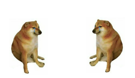 High Quality small dog small dog Blank Meme Template