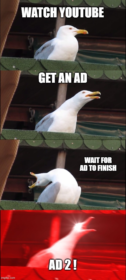 Inhaling Seagull Meme | WATCH YOUTUBE; GET AN AD; WAIT FOR AD TO FINISH; AD 2 ! | image tagged in memes,inhaling seagull | made w/ Imgflip meme maker