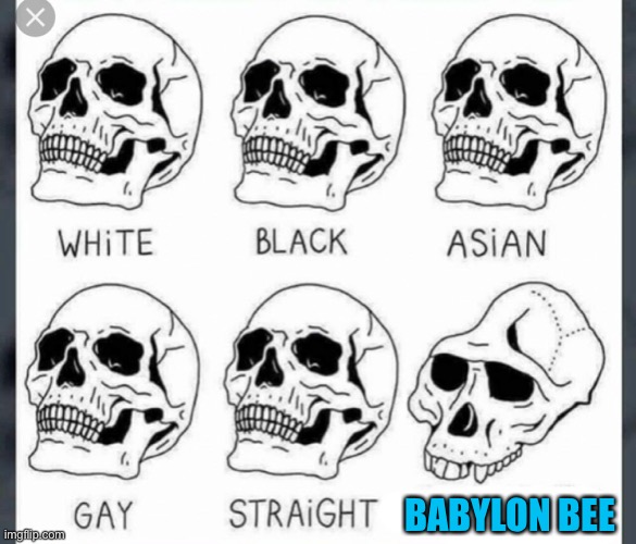 White Black Asian Gay Straight skull template | BABYLON BEE | image tagged in white black asian gay straight skull template,oh wow are you actually reading these tags | made w/ Imgflip meme maker