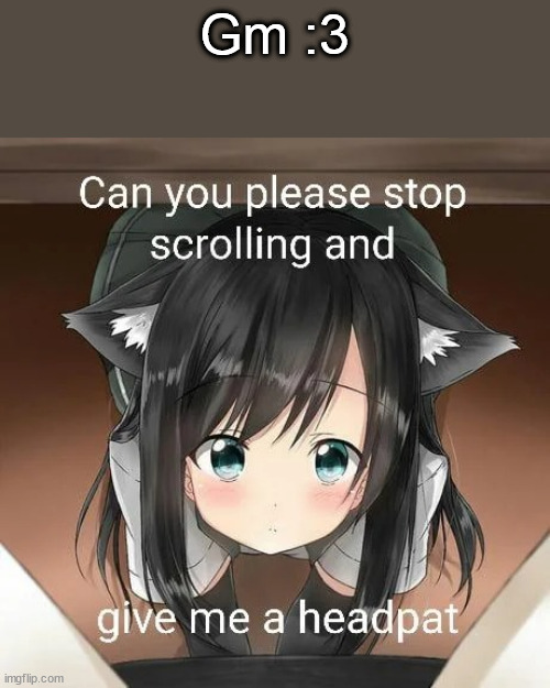 Stop scrolling and give me a headpat | Gm :3 | image tagged in stop scrolling and give me a headpat | made w/ Imgflip meme maker