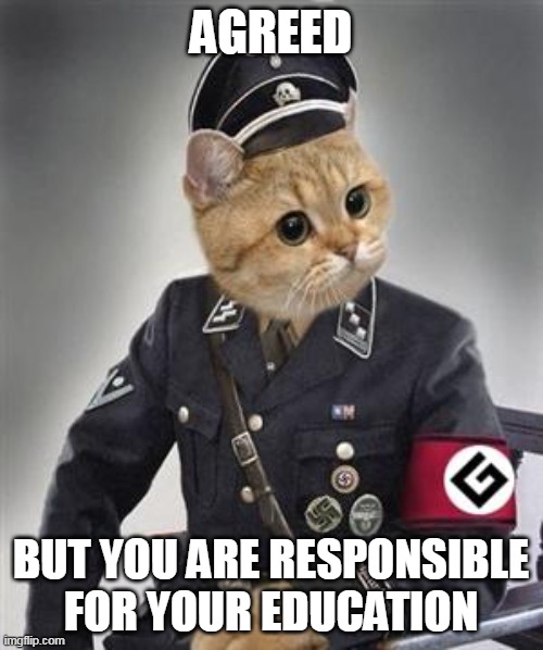 Grammar Nazi Cat | AGREED BUT YOU ARE RESPONSIBLE FOR YOUR EDUCATION | image tagged in grammar nazi cat | made w/ Imgflip meme maker