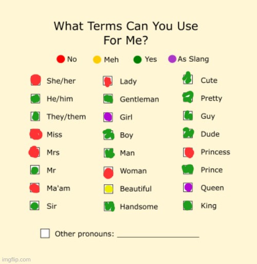 redoing this | image tagged in pronouns sheet | made w/ Imgflip meme maker