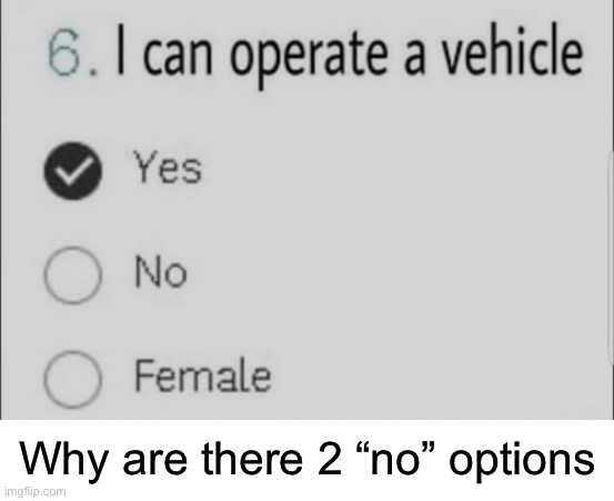 Redundant | Why are there 2 “no” options | image tagged in funny | made w/ Imgflip meme maker