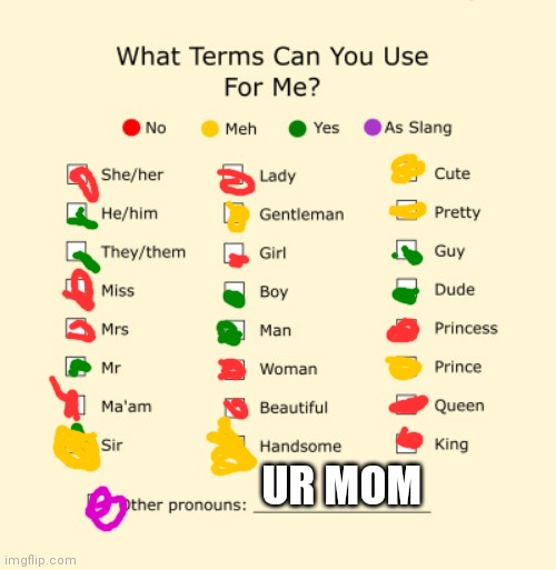 Pronouns Sheet | UR MOM | image tagged in pronouns sheet | made w/ Imgflip meme maker