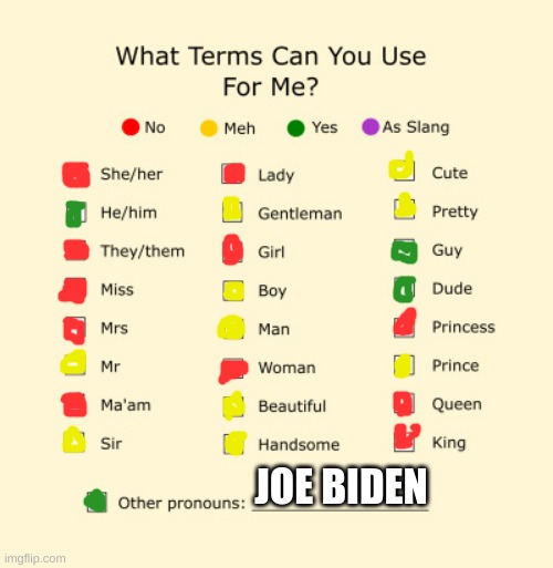 Pronouns Sheet | JOE BIDEN | image tagged in pronouns sheet,memes,lol,joe biden,oh wow are you actually reading these tags,stop reading the tags | made w/ Imgflip meme maker