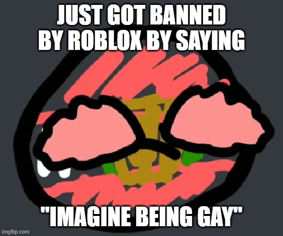 time to wait 7 days | JUST GOT BANNED BY ROBLOX BY SAYING; "IMAGINE BEING GAY" | image tagged in pain | made w/ Imgflip meme maker