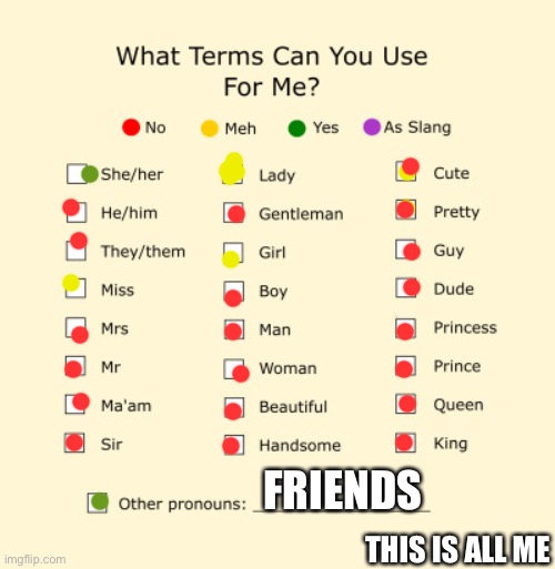 Pronouns Sheet | FRIENDS; THIS IS ALL ME | image tagged in pronouns sheet | made w/ Imgflip meme maker