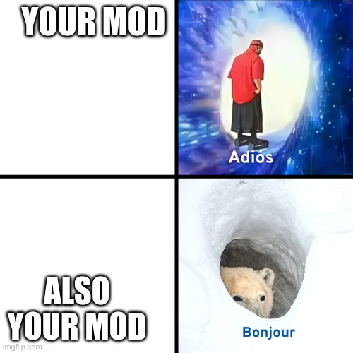 Adios Bonjour | YOUR MOD ALSO YOUR MOD | image tagged in adios bonjour | made w/ Imgflip meme maker