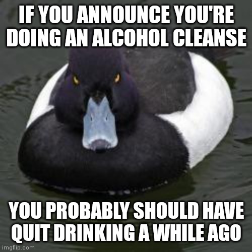 Angry Advice Mallard | IF YOU ANNOUNCE YOU'RE DOING AN ALCOHOL CLEANSE; YOU PROBABLY SHOULD HAVE QUIT DRINKING A WHILE AGO | image tagged in angry advice mallard,AdviceAnimals | made w/ Imgflip meme maker