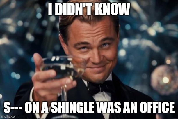 Leonardo Dicaprio Cheers Meme | I DIDN'T KNOW S--- ON A SHINGLE WAS AN OFFICE | image tagged in memes,leonardo dicaprio cheers | made w/ Imgflip meme maker