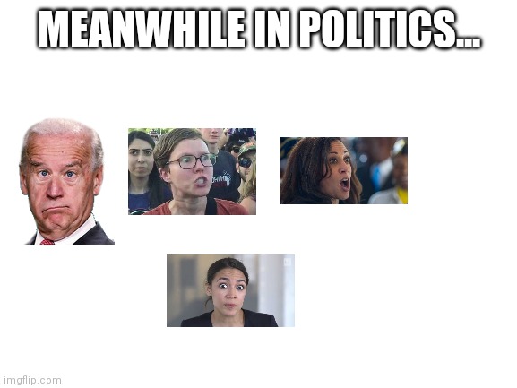 Blank White Template | MEANWHILE IN POLITICS... | image tagged in blank white template | made w/ Imgflip meme maker