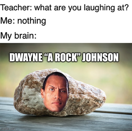 Not THE rock, just A rock | image tagged in rock,dwayne johnson | made w/ Imgflip meme maker