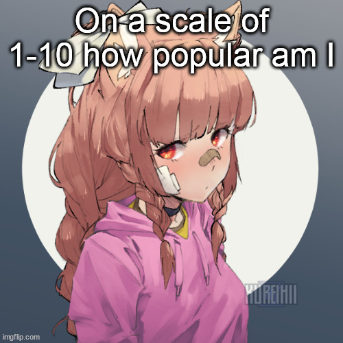 Ginger :3 | On a scale of 1-10 how popular am I | image tagged in ginger 3 | made w/ Imgflip meme maker