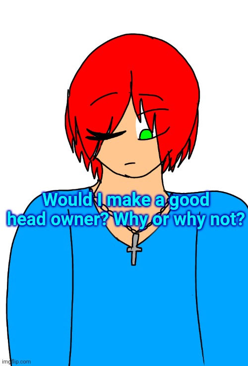 Spire's Christian OC or something | Would I make a good head owner? Why or why not? | image tagged in spire's christian oc or something | made w/ Imgflip meme maker