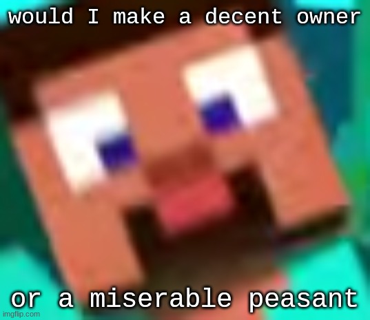 Gm MSMG,,,,,,,,, | would I make a decent owner; or a miserable peasant | image tagged in suprised steve,funny | made w/ Imgflip meme maker