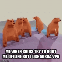 polar bear vpn polar bear vpn