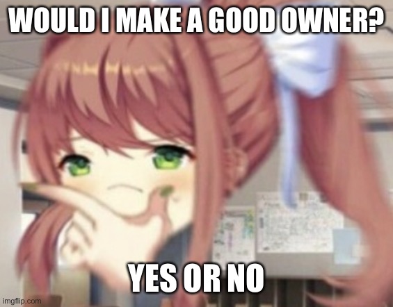 Also hello chat | WOULD I MAKE A GOOD OWNER? YES OR NO | image tagged in thonking monika | made w/ Imgflip meme maker