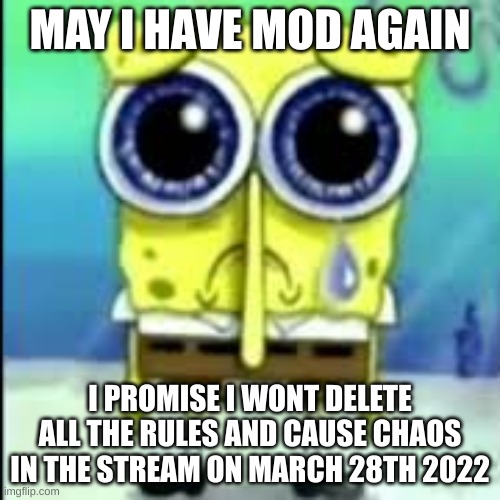 spunch bop sad | MAY I HAVE MOD AGAIN; I PROMISE I WONT DELETE ALL THE RULES AND CAUSE CHAOS IN THE STREAM ON MARCH 28TH 2022 | image tagged in spunch bop sad | made w/ Imgflip meme maker