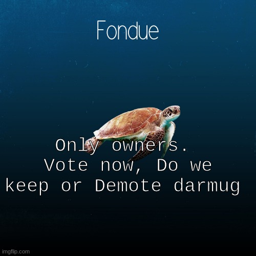 turtle template-Fondue | Only owners. 
Vote now, Do we keep or Demote darmug | image tagged in turtle template-fondue | made w/ Imgflip meme maker