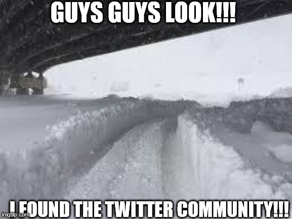 Buffalo Snowstorm | GUYS GUYS LOOK!!! I FOUND THE TWITTER COMMUNITY!!! | image tagged in buffalo snowstorm | made w/ Imgflip meme maker