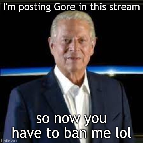 yeet | I'm posting Gore in this stream; so now you have to ban me lol | image tagged in al gore,jokes,memes | made w/ Imgflip meme maker