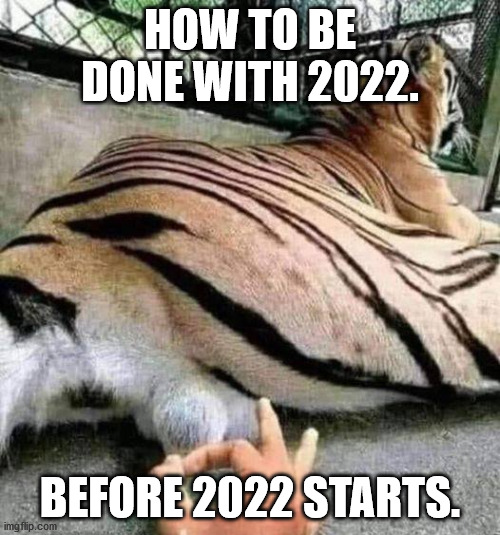 Before 2022 | HOW TO BE DONE WITH 2022. BEFORE 2022 STARTS. | image tagged in deez nutz | made w/ Imgflip meme maker