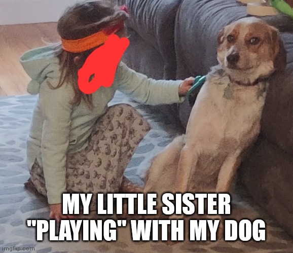 MY LITTLE SISTER "PLAYING" WITH MY DOG | made w/ Imgflip meme maker
