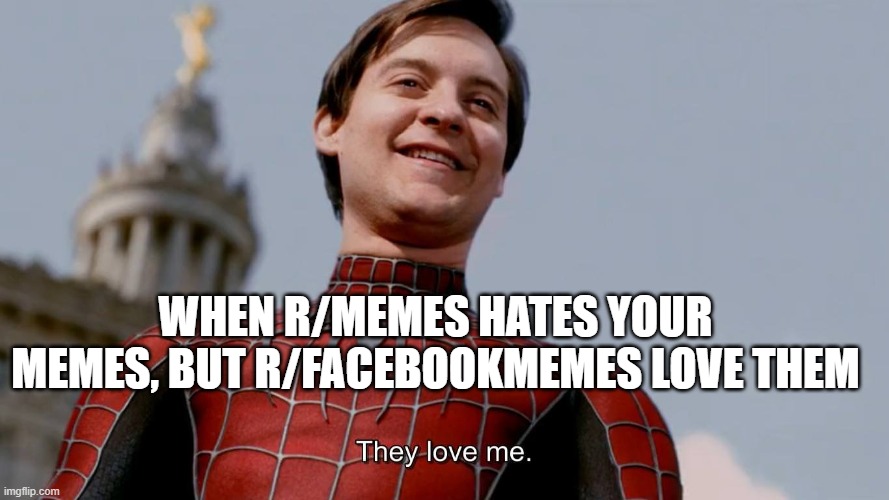 They Love Me | WHEN R/MEMES HATES YOUR MEMES, BUT R/FACEBOOKMEMES LOVE THEM | image tagged in they love me | made w/ Imgflip meme maker