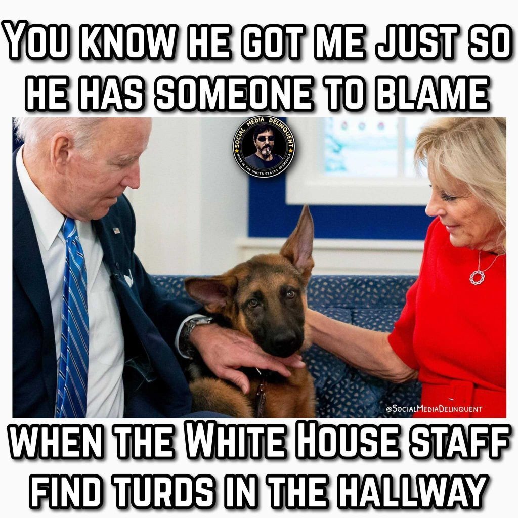 About those turds in the hallway... | image tagged in turds,shit for brains biden,shit for brains,dementia joe biden,poopy pants,defecation can be fun | made w/ Imgflip meme maker