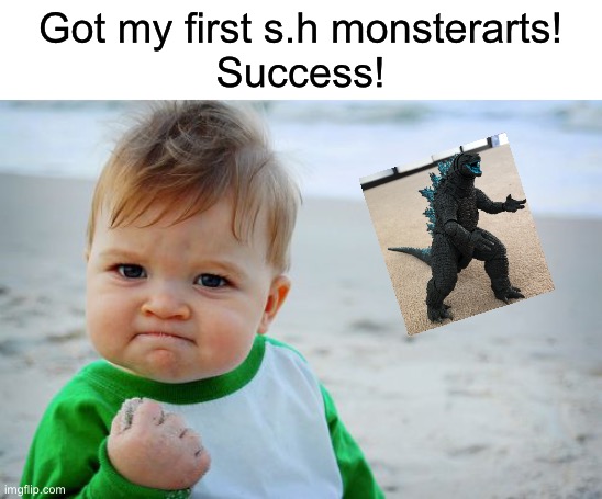 Ah yes the first | Got my first s.h monsterarts!
Success! | image tagged in memes,success kid original,yayaya | made w/ Imgflip meme maker