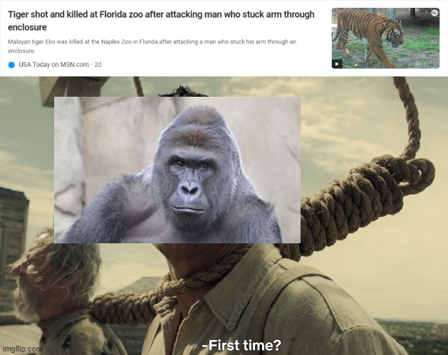 Rip Harambe | image tagged in first time | made w/ Imgflip meme maker