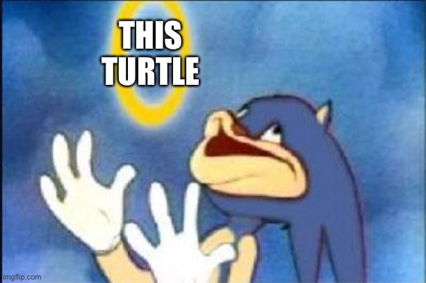 Sonic derp | THIS TURTLE | image tagged in sonic derp | made w/ Imgflip meme maker