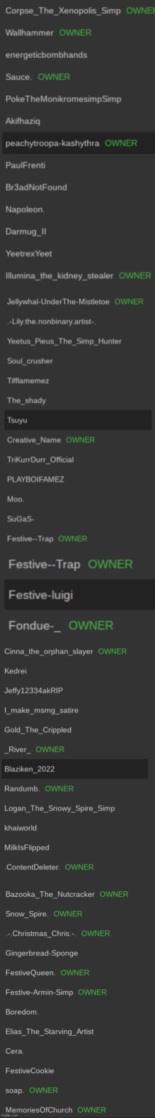 EVERYONE, lets make a vote, give me the owner's name of who you want the head owner to be | image tagged in the owner with the most votes gets it | made w/ Imgflip meme maker