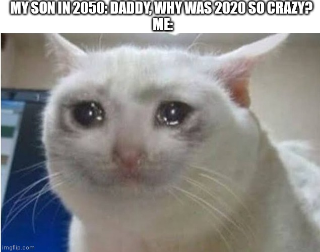 2020 in future | MY SON IN 2050: DADDY, WHY WAS 2020 SO CRAZY? 
ME: | image tagged in nibbi crying cat | made w/ Imgflip meme maker