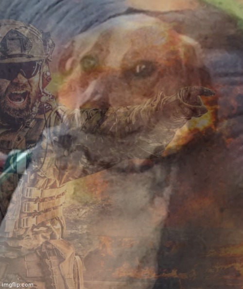 PTSD dog Blank Meme Template