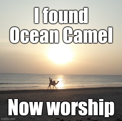 . | I found Ocean Camel; Now worship | made w/ Imgflip meme maker