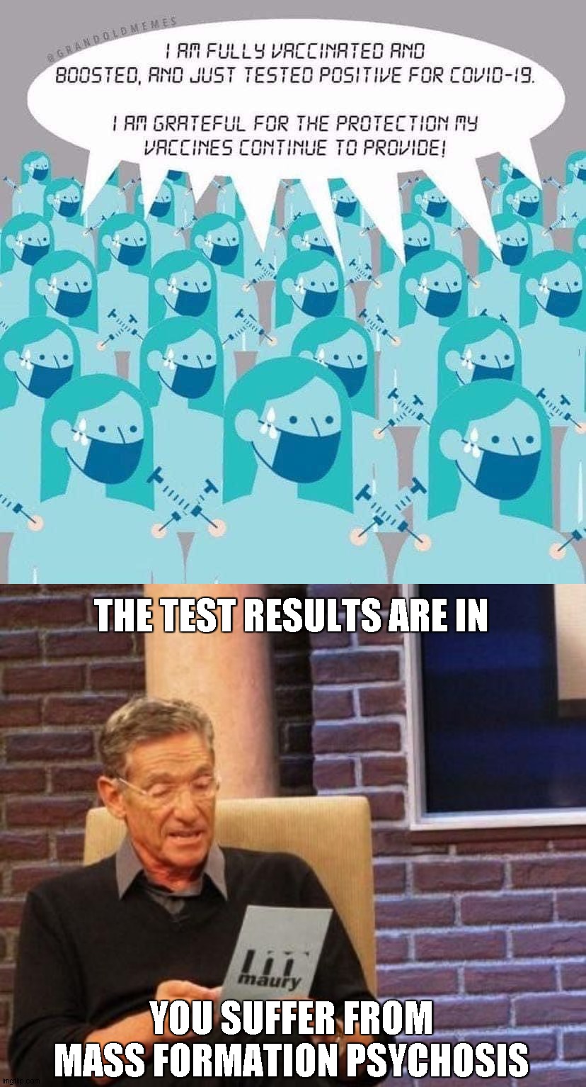 Mass Formation Psychosis | THE TEST RESULTS ARE IN; YOU SUFFER FROM
MASS FORMATION PSYCHOSIS | image tagged in maury povich that was a lie,mass formation psychosis | made w/ Imgflip meme maker