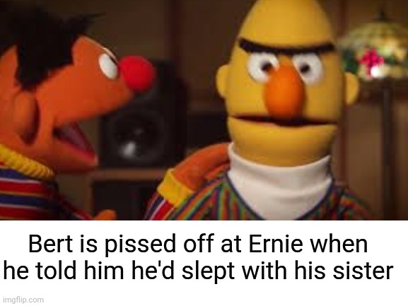 Ernie why | Bert is pissed off at Ernie when he told him he'd slept with his sister | image tagged in ernie and bert,bruh,help me obi wan,dark humor,angry,sweet home alabama | made w/ Imgflip meme maker