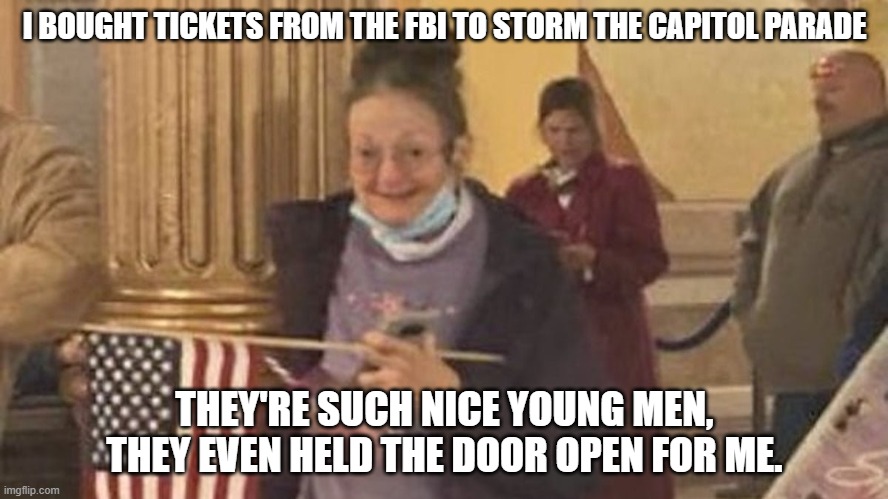 Insurrectionist Granny | I BOUGHT TICKETS FROM THE FBI TO STORM THE CAPITOL PARADE; THEY'RE SUCH NICE YOUNG MEN, THEY EVEN HELD THE DOOR OPEN FOR ME. | image tagged in funny,grandma,capitol,insurrection,january | made w/ Imgflip meme maker