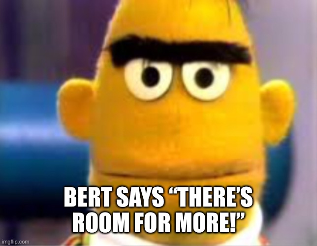 BERT SAYS “THERE’S ROOM FOR MORE!” | made w/ Imgflip meme maker