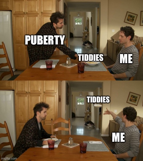 No, I don't want this | PUBERTY; ME; TIDDIES; TIDDIES; ME | image tagged in plate toss,gender,trans | made w/ Imgflip meme maker