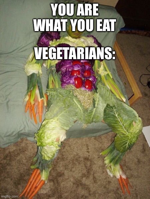 You may get it | YOU ARE WHAT YOU EAT; VEGETARIANS: | image tagged in vegetable man | made w/ Imgflip meme maker