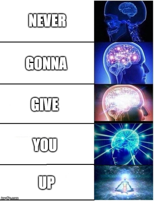 llorkcir | NEVER; GONNA; GIVE; YOU; UP | image tagged in expanding brain 5 panel | made w/ Imgflip meme maker