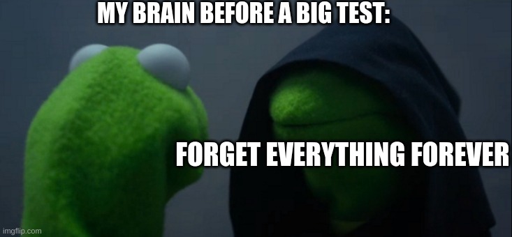 Sums it All Up | MY BRAIN BEFORE A BIG TEST:; FORGET EVERYTHING FOREVER | image tagged in memes,evil kermit | made w/ Imgflip meme maker